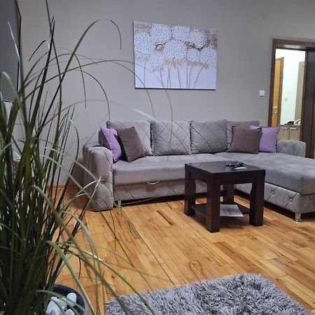 Apartmani Radulović Vrnjačka Banja Pokój zdjęcie