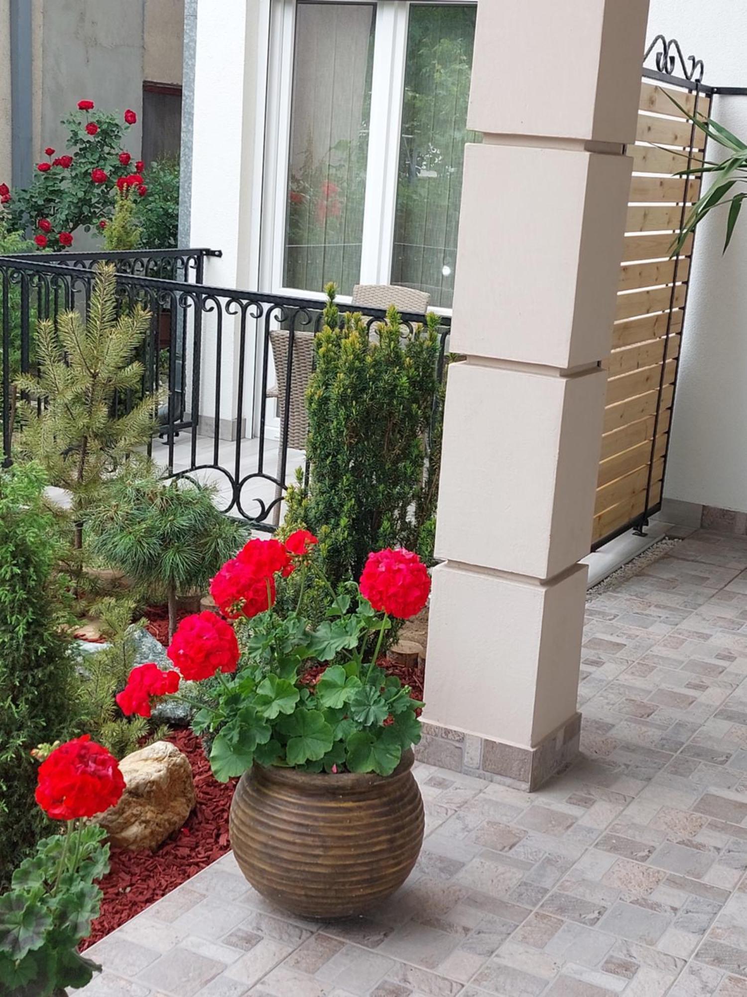 Apartmani Radulović Vrnjačka Banja Pokój zdjęcie