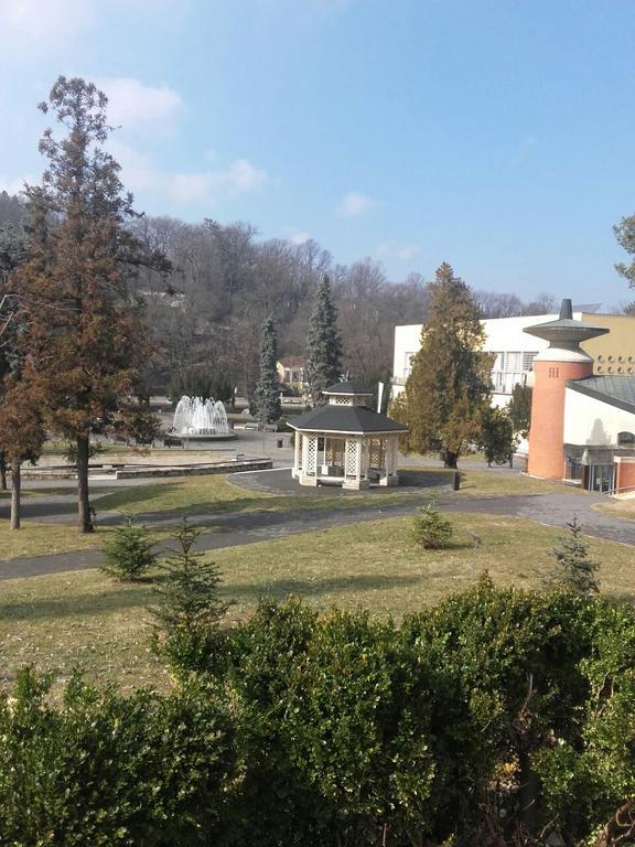 Apartmani Radulović Vrnjačka Banja Zewnętrze zdjęcie